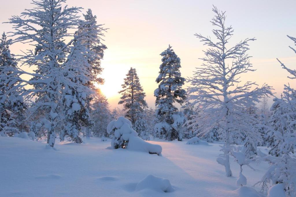 Kielo In Center Near All The Main Spots Rovaniemi Exteriör bild