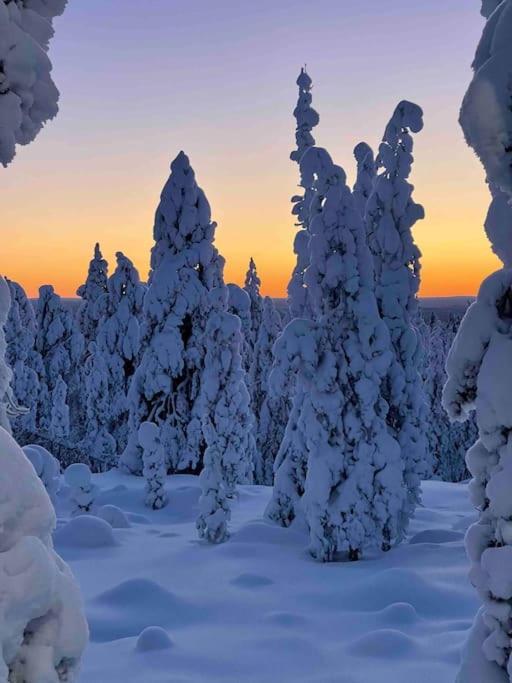 Kielo In Center Near All The Main Spots Rovaniemi Exteriör bild